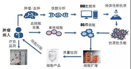 煜森資本 華大吉諾因攜腫瘤新生抗原誘導(dǎo)CTL技術(shù)亮相AACR，開啟免疫治療新篇章