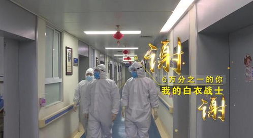 “守護(hù)天使”公益律師武漢上崗，為醫(yī)護(hù)筑起法律后盾